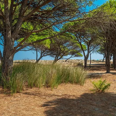 Homes Seaside, Ac And Bike Apartamento